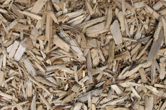 biomass boilers Dores